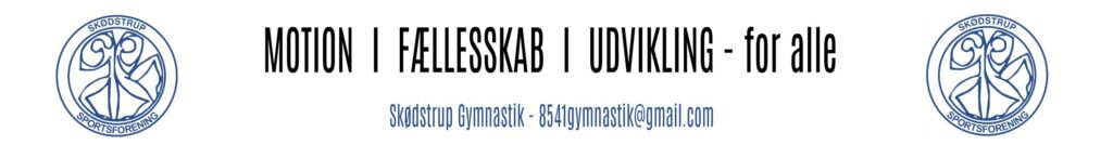 Brevhoved Gymnastik 2017 kopi