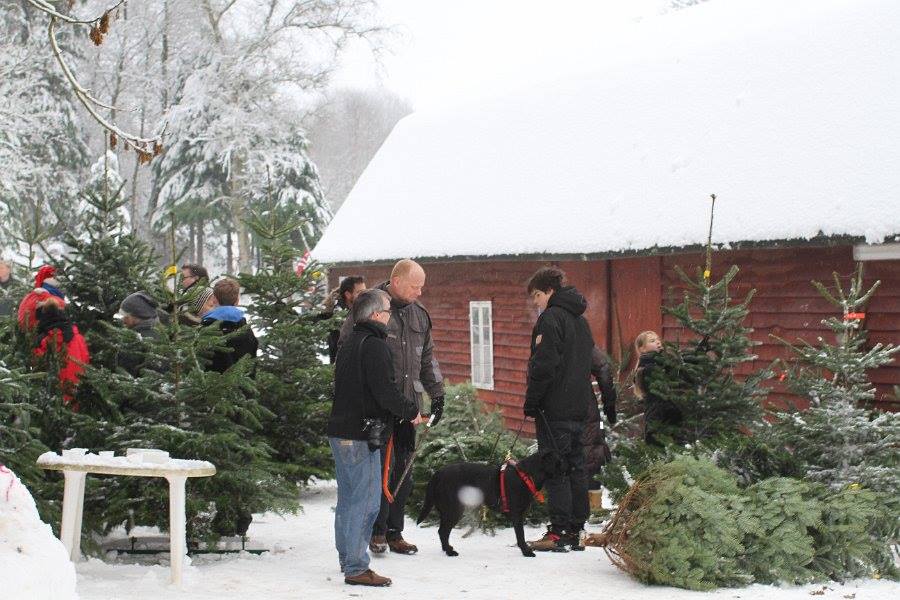 Mange lokale har igennem årene slået vejen forbi Lions Clubs julearrangement på Skrald Skovridergård.