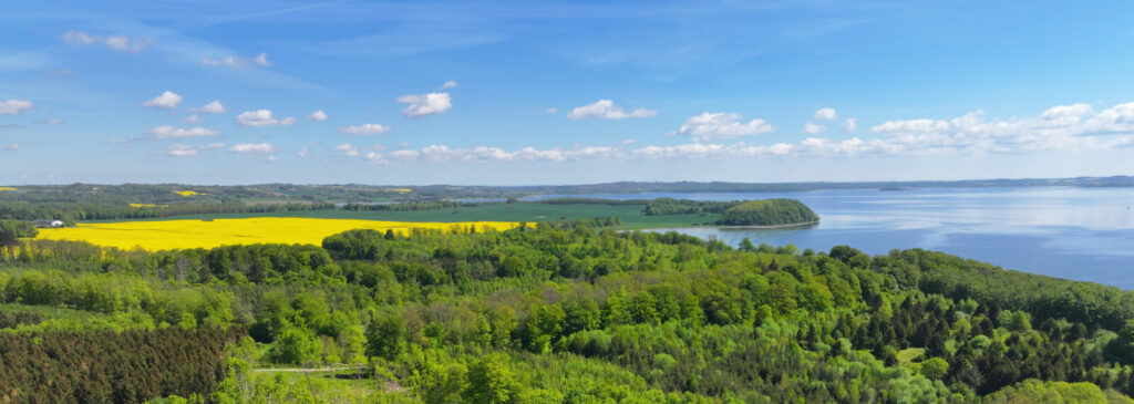 Det her er både bevaringsværdigt og et herregårdslandskab. Men hvis Aarhus Kommune kan godtgøre, at tre store vindmøller på den grønne mark i midten af billedet ikke væsentligt forringer landskabets karakter, - ja, så må de sættes op