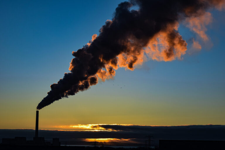Studstrupværkets dampfane i modlys en februarmorgen. Det er ikke røg, men damp, der kommer fra den biomassefyrede blok. om fem år kan det være slut med biomassen fra værket. (foto Peter Schriver)