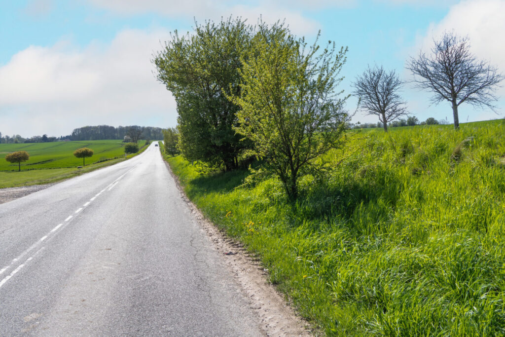 Hvor hurtigt må man køre på Skovlundvej mellem Åstrup og Grenåvej? De fleste vil nok svare 80 km/t, men nej! Det rigtige svar er 70 km/t. Fartbegrænsningen er ny, men et stort træ spærrer for, at man kan se skiltet. Det står ellers kun 10-15 meter foran kameraet!