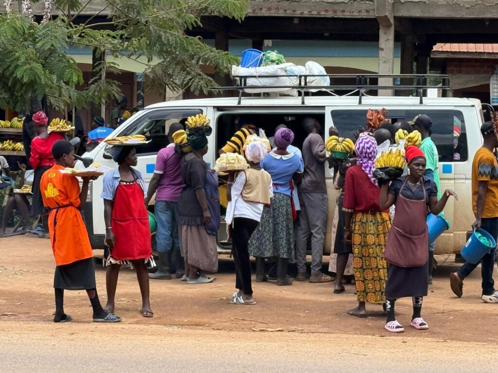 Liv og smukke farver set fra bilen på vej til Kampala.