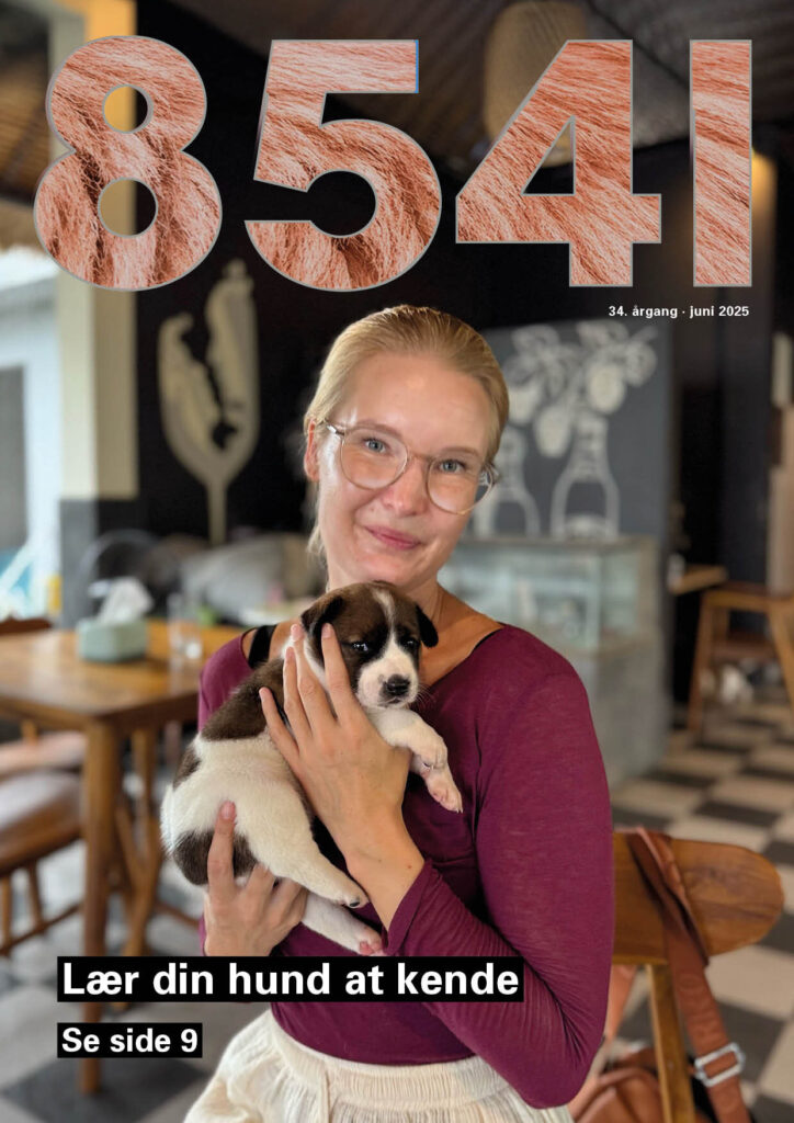 8541 Juni 2025 Forside