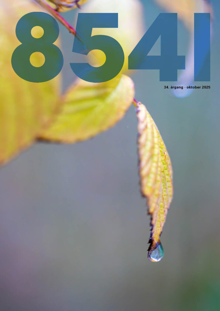 8541 Oktober 2025 Forside
