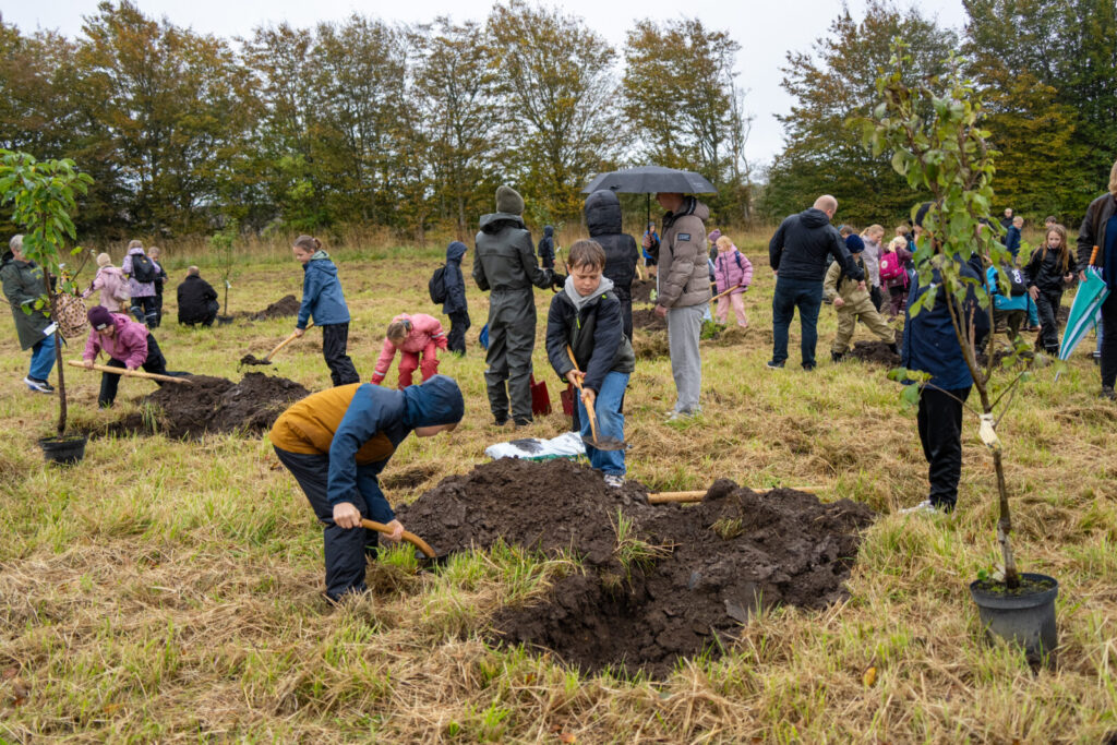 ”Næste år skal vi ned at se, om der er æbler!”