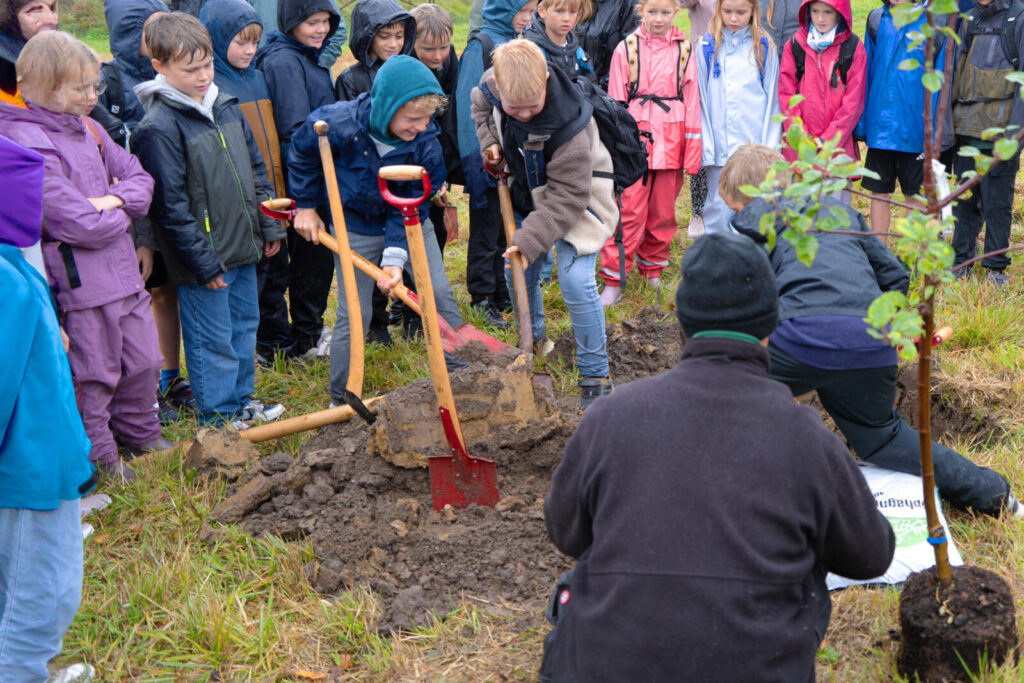 251027 Plant et trae Soendersoe 007 1