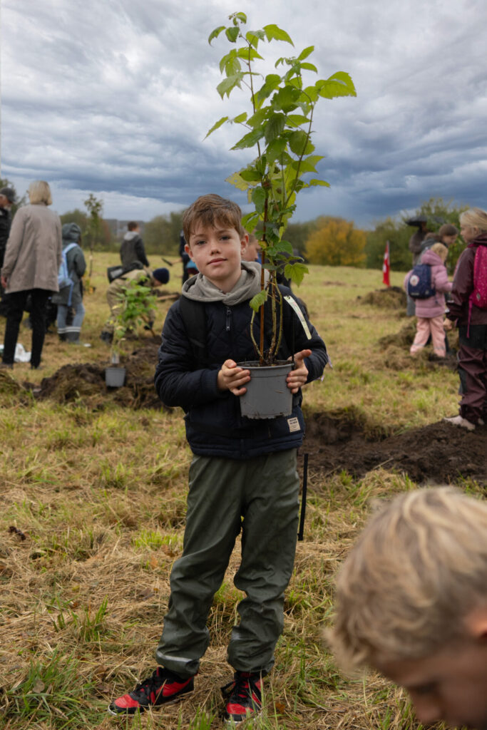 251027 Plant et trae Soendersoe 008 1