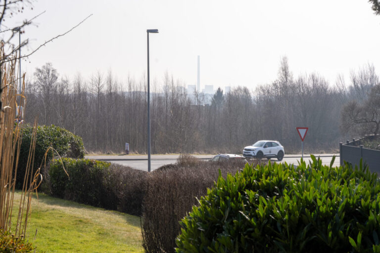 Her er udsigten fra en grund på Vildrosevej i Skødstrup. De selvvoksede birketræer er der i strid med udsigtsfredningen, men der er en manglende logik i selve fredningen, der gør det svært at komme af med træerne.