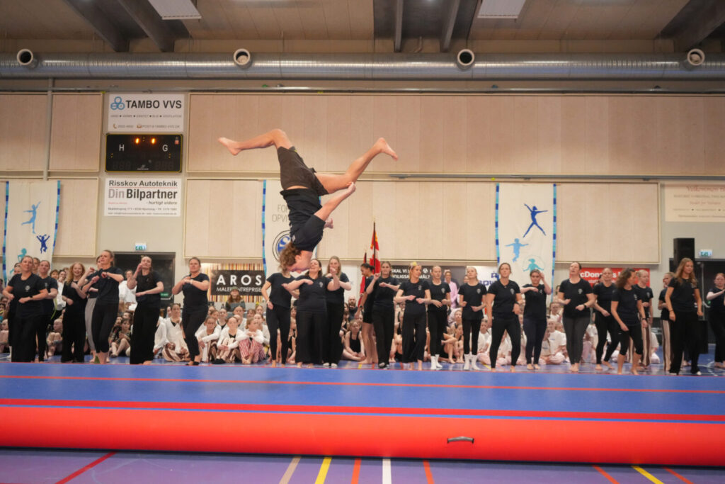DSC02594 lille