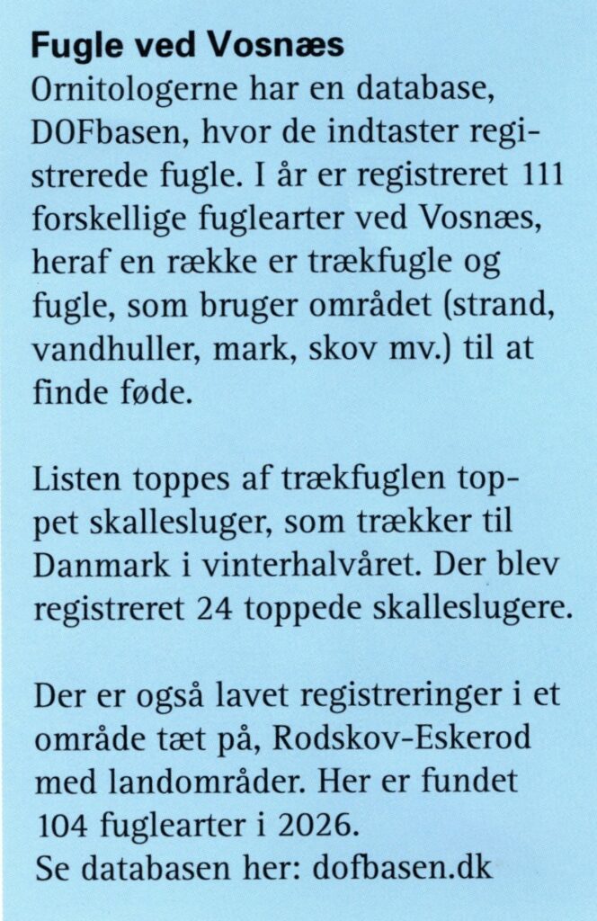 Fugle ved Vosnaes Faktaboks