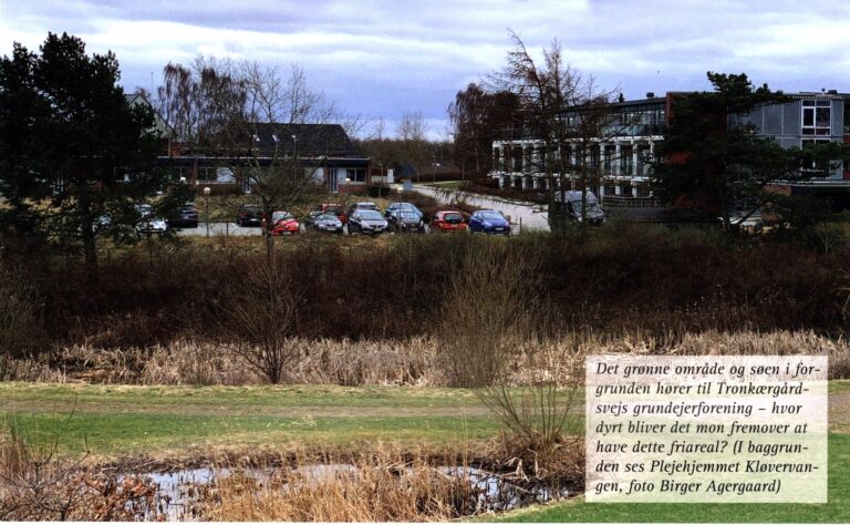 Det grønne område og søen i forgrunden hører til Tronkærgårdsvejs grundejerforening – hvor dyrt bliver det mon fremover at have dette friareal? (I baggrunden ses Plejehjemmet Kløvervangen, foto Birger Agergaard)